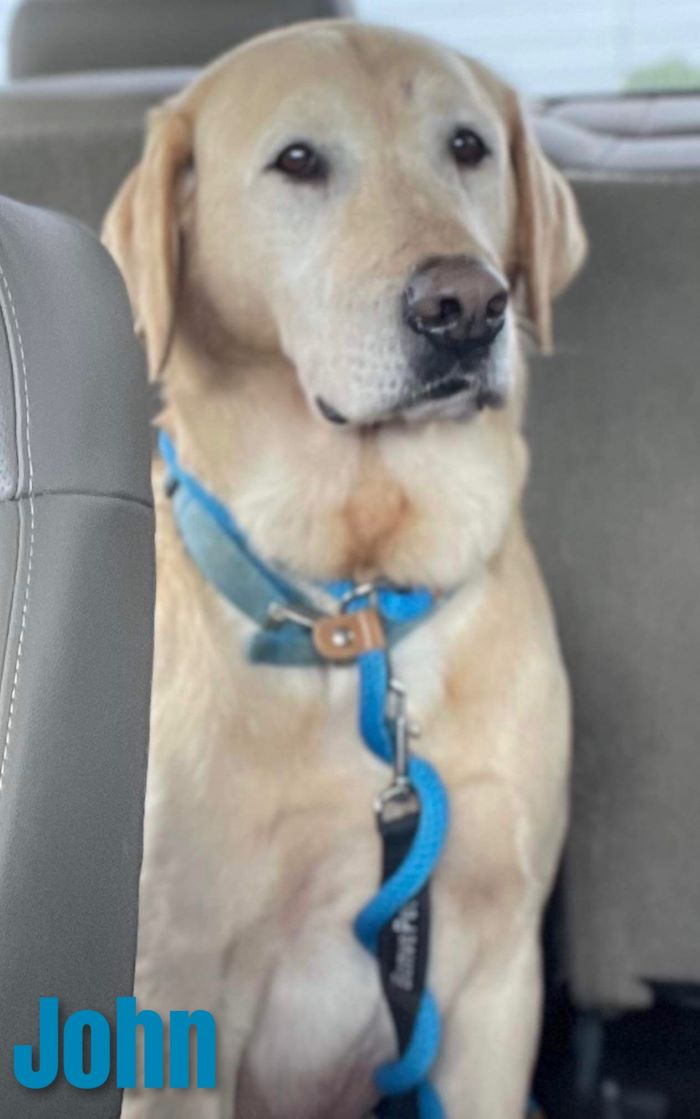 Joh Feature John Feature - Cincinnati Lab Rescue